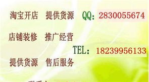 淘寶創業全攻略 從開店、推廣到專業培訓，解鎖網店經營核心技術